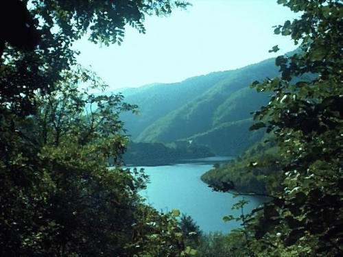 Rezervatia Naturala Piatra Andreaua poza